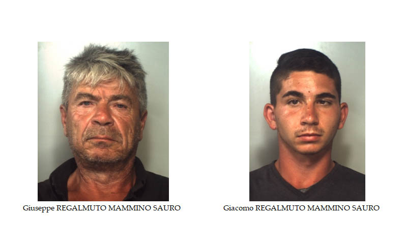 “Gestivano” coltivazione di canapa indiana: sequestrate: 2.500 piante e 50 Kg. di marijuana. In manette padre e figlio VIDEO