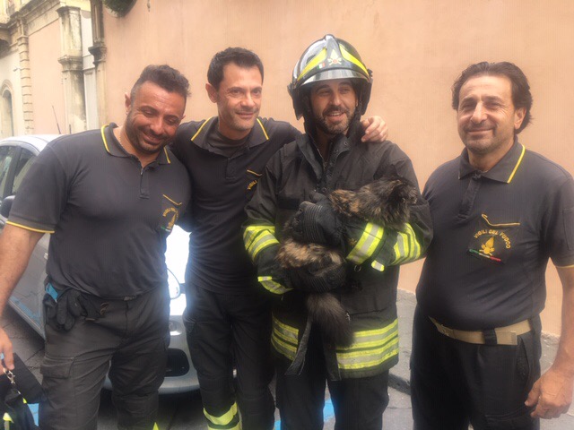 Giarre, vigili del fuoco salvano gatto caduto da un primo piano
