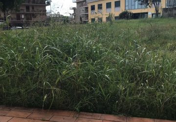 Giarre, plesso Collodi: sospese prove di evacuazione per erba alta VIDEO