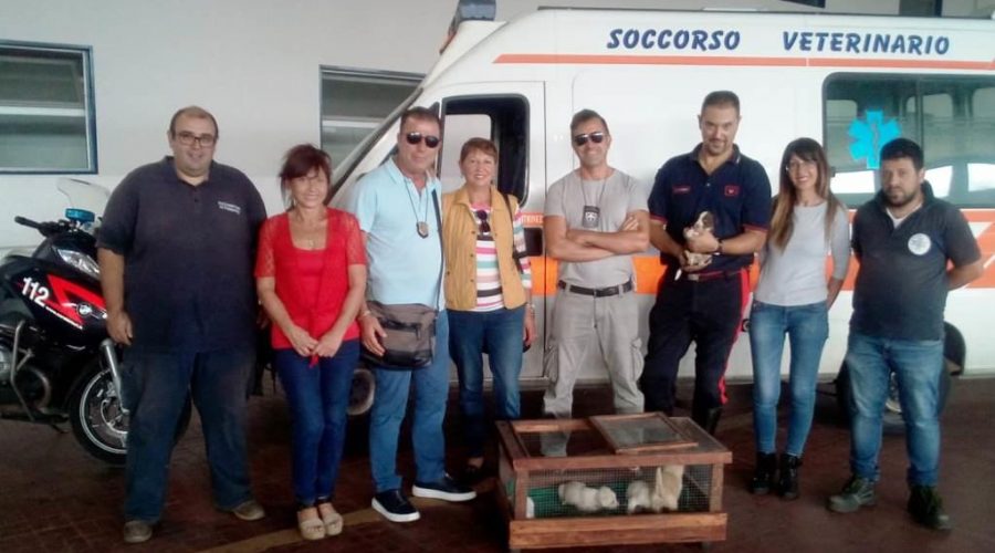 Catania, carabinieri salvano cinque cuccioli di cane abbandonati tra i rifiuti