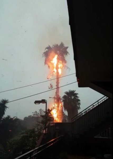 Fulmine incendia una palma a Tagliaborse. Auto in panne a Mascali
