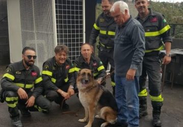 Pedara, Vigili del fuoco salvano cane pastore tedesco