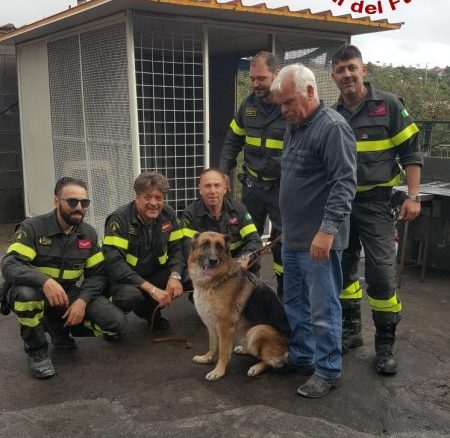 Pedara, Vigili del fuoco salvano cane pastore tedesco