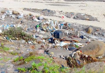 Francavilla di Sicilia: il torrente Zavianni "terra dei fuochi" della Valle dell'Alcantara