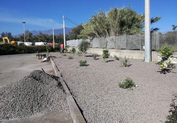 Giarre, azienda adotta area a verde e gli alberi piantati vengono rubati