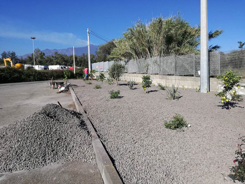 Giarre, azienda adotta area a verde e gli alberi piantati vengono rubati