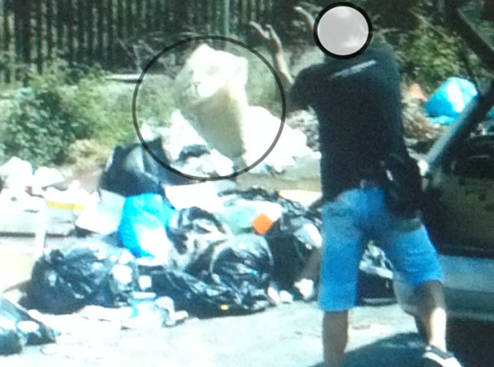 Giarre, sporcaccioni in rivolta danneggiano una fototrappola