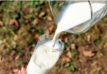 Latte lombardo, enorme ricchezza per tutta l&rsquo;Italia