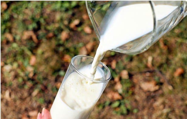 Latte lombardo, enorme ricchezza per tutta l’Italia