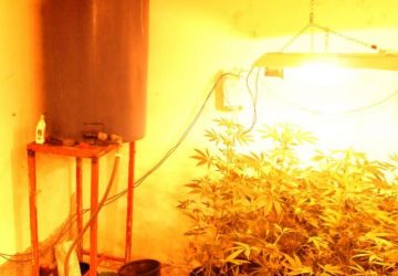 Ramacca, trasforma autolavaggio in serra per la coltivazione di canapa indiana