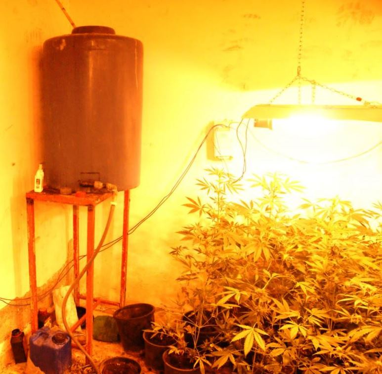 Ramacca, trasforma autolavaggio in serra per la coltivazione di canapa indiana