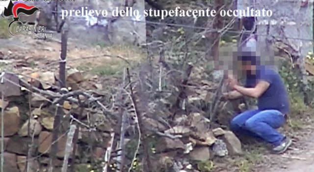 Bronte, operazione “Sciarotta”, stroncato traffico di stupefacenti: 12 arresti NOMI FOTO VIDEO