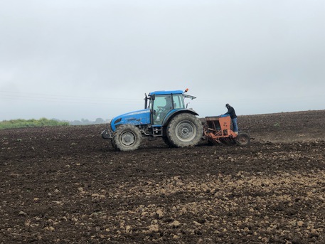 Piana di Catania, seminati 40 ettari di canapa industriale