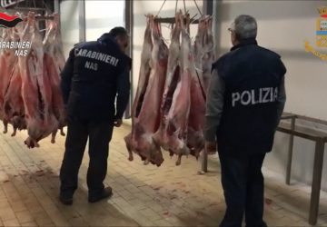 Patern&ograve;, chiuso mattatoio illegale. Operazione di carabinieri e polizia stradale VIDEO