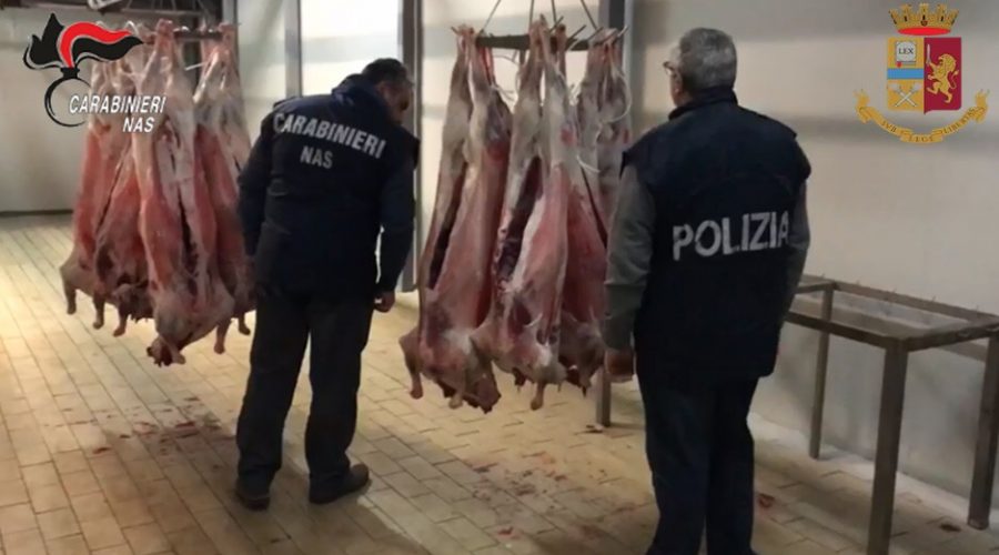 Paternò, chiuso mattatoio illegale. Operazione di carabinieri e polizia stradale VIDEO