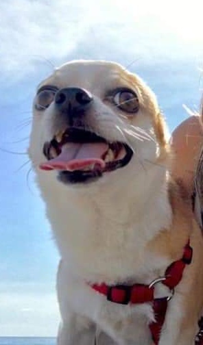 Mascali, rabbia, indignazione e una denuncia ai Cc per la morte di Enea