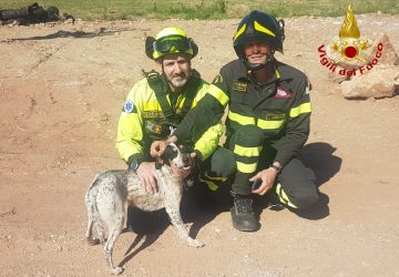 Calatabiano, Vigili del fuoco salvano un cane rimasto su uno scoglio del fiume Alcantara