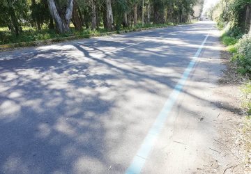 Strisce blu a Marina di Cottone: mancano 28.000 euro. La denuncia dell'opposizione consiliare