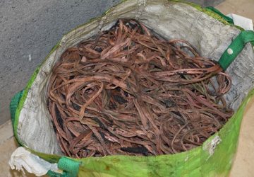 Catania, maxi sequestro di "oro rosso"