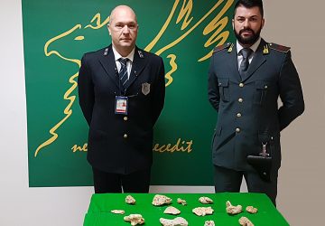 Aereoporto, sequestrato 1,4 kg di corallo brasiliano