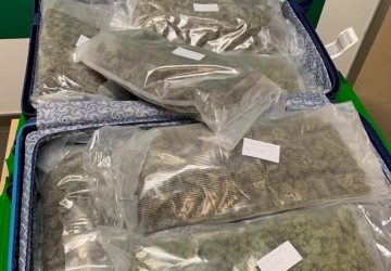 Catania, bloccato corriere in aeroporto con 6,5 kg di marijuana