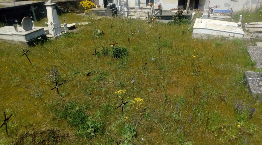 Puntalazzo: erbacce e buio al cimitero, via Umberto dissestata