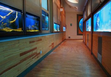 Giarre, l&rsquo;ex Acquario Mediterraneo ceduto al Comune. L&rsquo;assessore Li Mura: &ldquo;sar&agrave; sede di start up&rdquo;