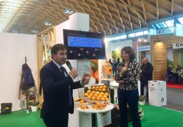 Agrumi e hi tech, una app da smartphone per riconoscere le autentiche Arance rosse di Sicilia IGP