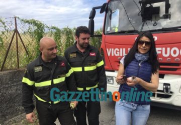 Giarre, Vigili del fuoco salvano due gattini appena nati gettati tra le spine
