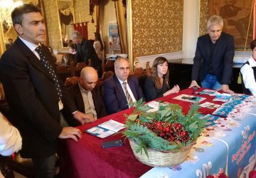 Giarre, inizia il conto alla rovescia per la Sagra delle ciliegie e delle rose