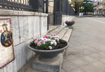 Piazza Duomo “illuminata” con i fiori donati da una commerciante