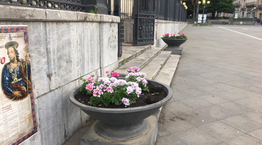 Piazza Duomo “illuminata” con i fiori donati da una commerciante