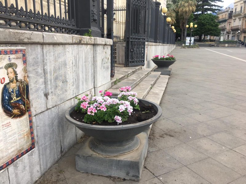 Piazza Duomo “illuminata” con i fiori donati da una commerciante
