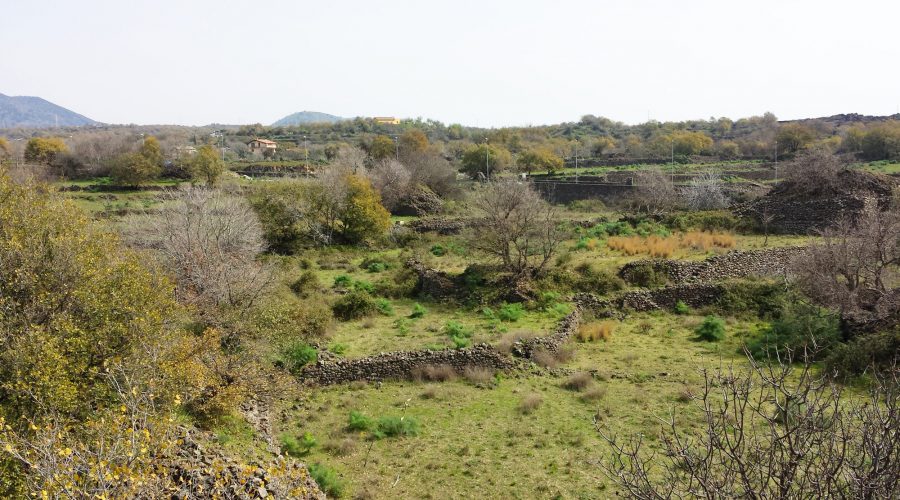 Belpasso, il Tar da ragione al Comune: no al parco commerciale alle “Torrette”