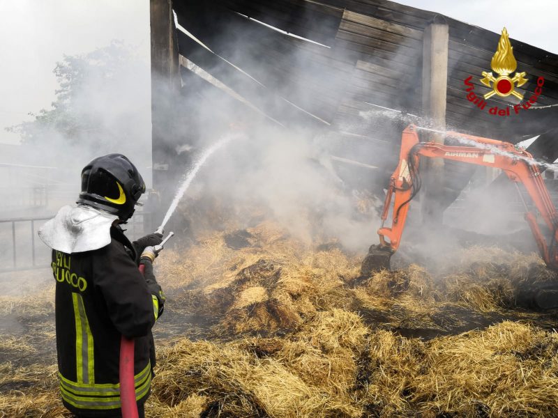 Aci Catena, salvati da un incendio decine di bovini