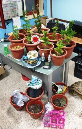 Camporotondo Etneo, maturandi con il &ldquo;pollice verde&rdquo;, arrestati e rimessi subito in libert&agrave; per sostenere gli esami