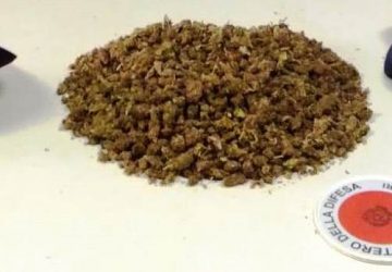 Gravina, beccato con 800 grammi di droga in casa: arrestato 41enne