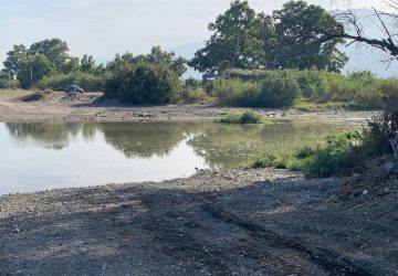 Calatabiano, area boschiva San Marco: mancano i forestali stagionali. Elevato il rischio incendi