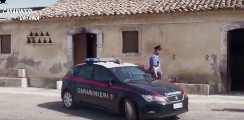 Azienda agrumicola produceva canapa indiana, blitz antidroga dei “Lupi”: tre arresti