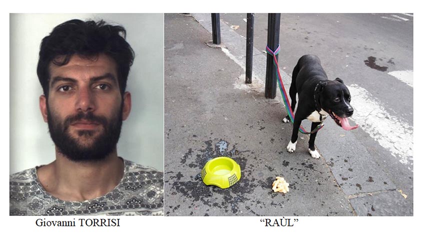 Catania, ruba un ciclomotore mentre passeggia col cane: arrestato