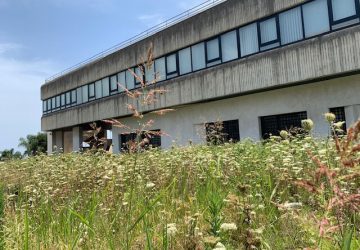 Giarre, divampa incendio nell&rsquo;area perimetrale dell&rsquo;ex tribunale