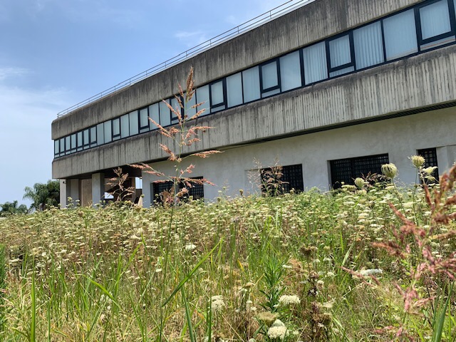 Giarre, divampa incendio nell’area perimetrale dell’ex tribunale