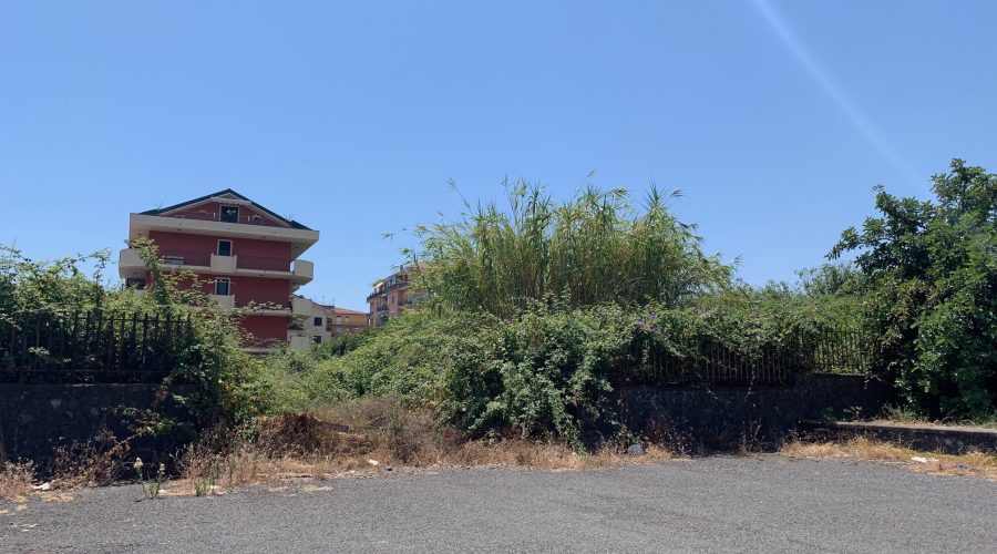 Giarre, emergenza incendi. Corsa contro il tempo per proteggere le aree comunali