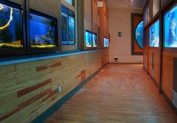 Giarre, Acquario di piazza Mazzini, futuro indecifrabile