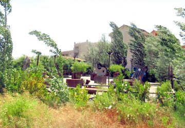 Francavilla di Sicilia e la "giungla" del Parco Suburbano di contrada Madonna Gala