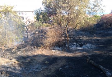 Catania, in fiamme il parco Gioieni.  Vigili del fuoco in azione