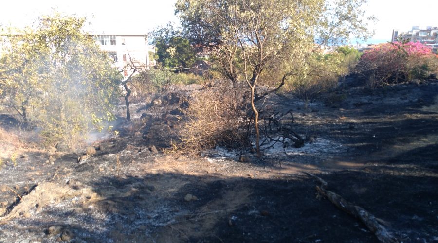 Catania, in fiamme il parco Gioieni.  Vigili del fuoco in azione