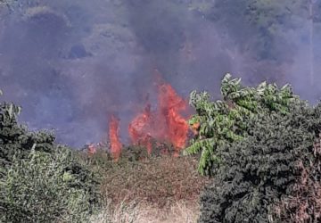 Acireale, vasto incendio nei pressi di Capomulini