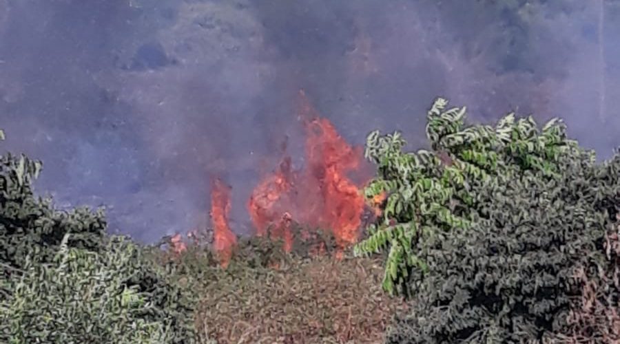 Acireale, vasto incendio nei pressi di Capomulini