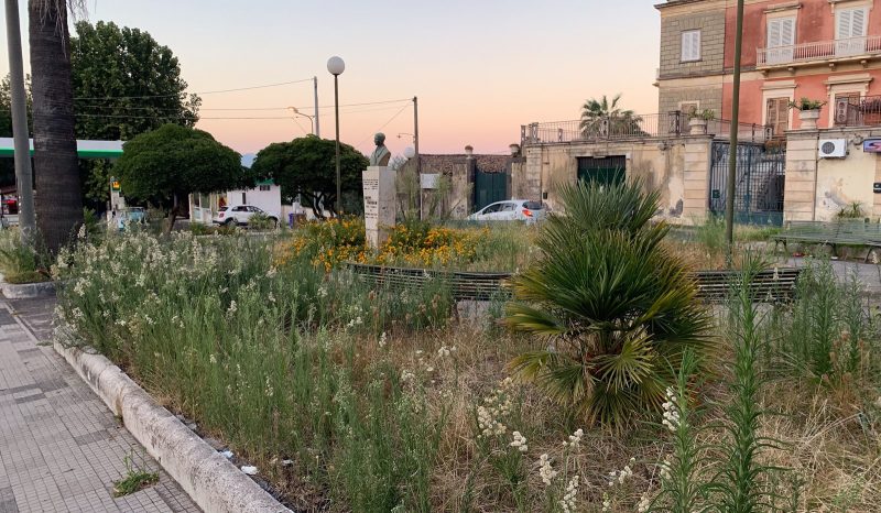 Giarre, pessimo biglietto da visita all’ingresso nord. Nel degrado la Villa dedicata a Macherione